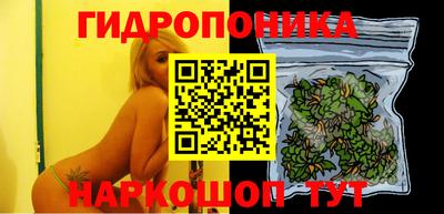 a pvp Конаково