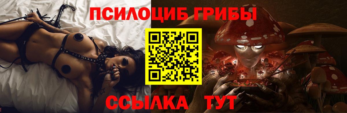 Калач-на-Дону  Псилоцибиновые грибы прущие грибы  Псилоцибиновые грибы MAGIC MUSHROOMS  Вход с VPN 